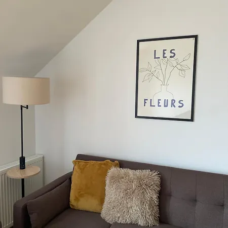 Smrcka Železná Ruda